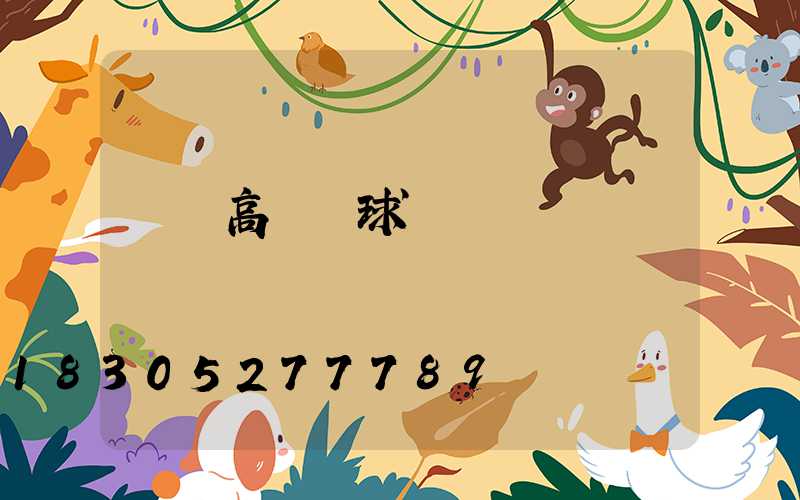 綿陽高桿燈球場燈
