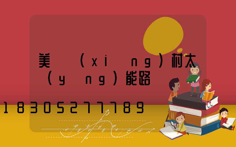 美麗鄉(xiāng)村太陽(yáng)能路燈