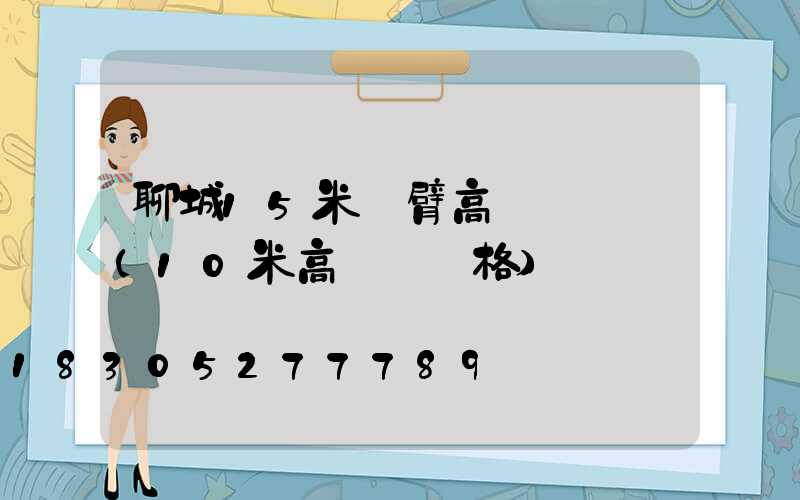 聊城15米雙臂高桿燈報價(10米高燈桿價格)