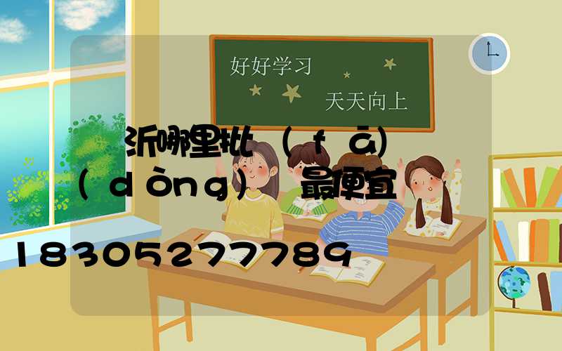 臨沂哪里批發(fā)電動(dòng)車最便宜