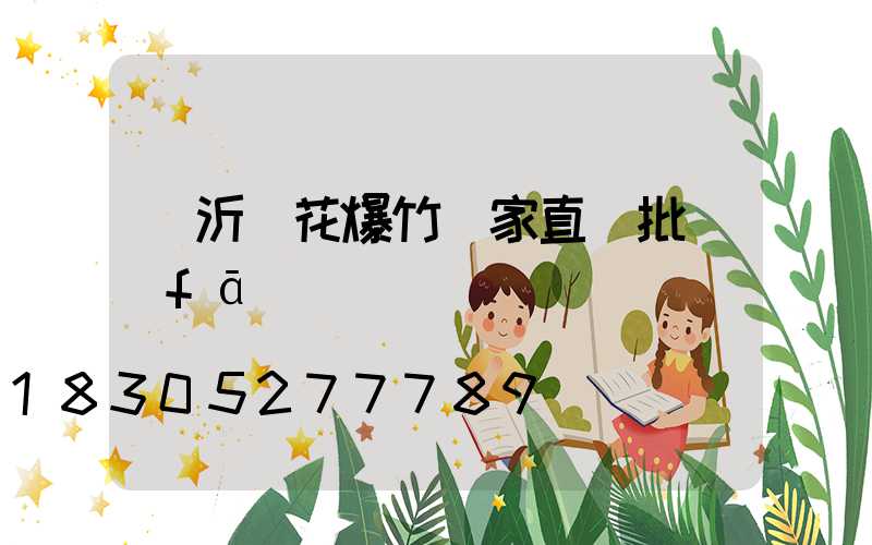 臨沂煙花爆竹廠家直銷批發(fā)