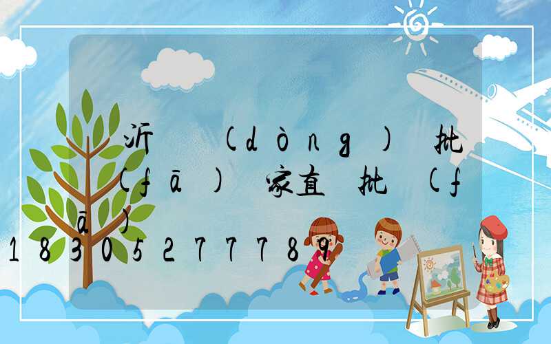 臨沂電動(dòng)車批發(fā)廠家直銷批發(fā)