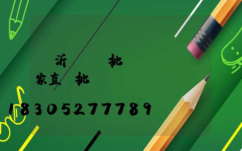 臨沂電動車批發(fā)廠家直銷批發(fā)