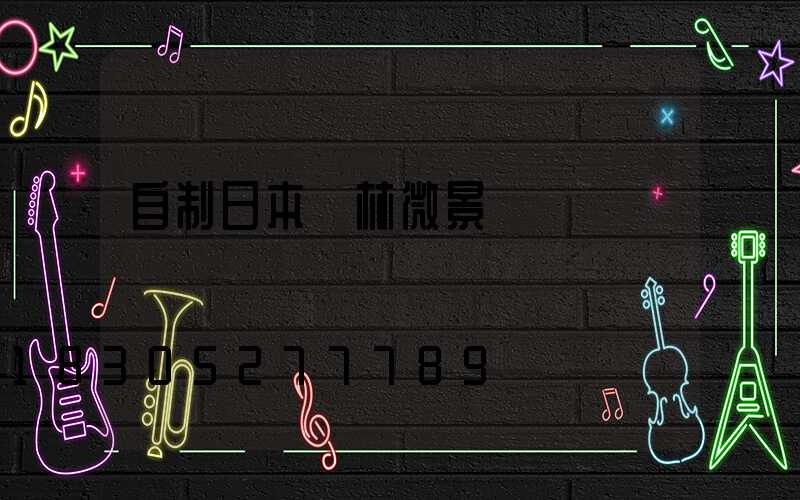 自制日本園林微景觀