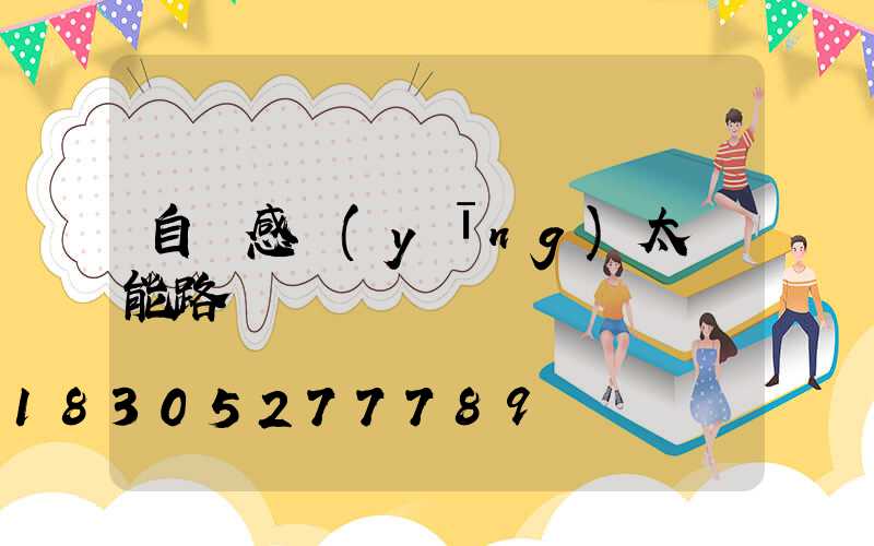 自動感應(yīng)太陽能路燈