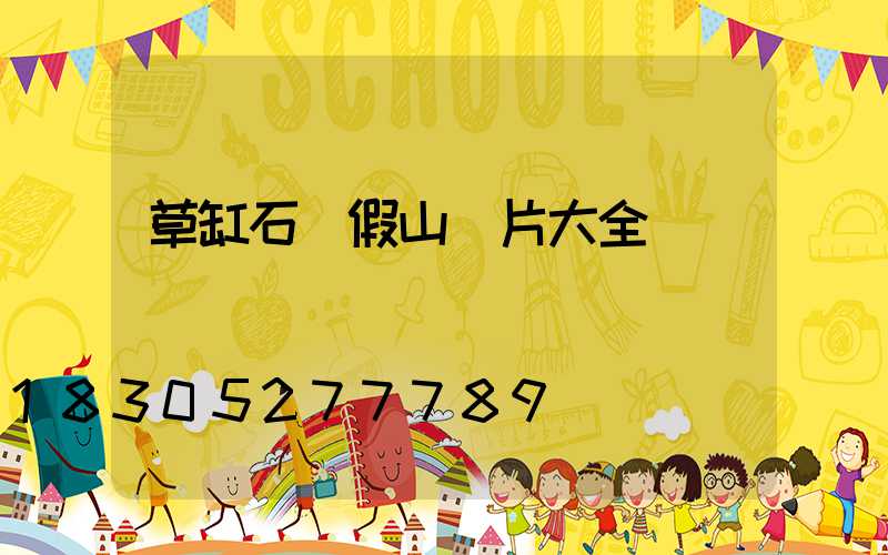 草缸石頭假山圖片大全