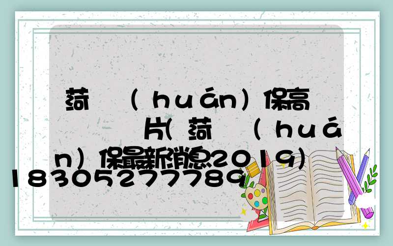 菏澤環(huán)保高桿燈報價圖片(菏澤環(huán)保最新消息2019)