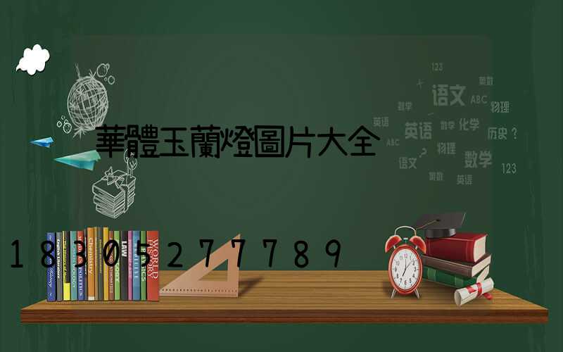 華體玉蘭燈圖片大全