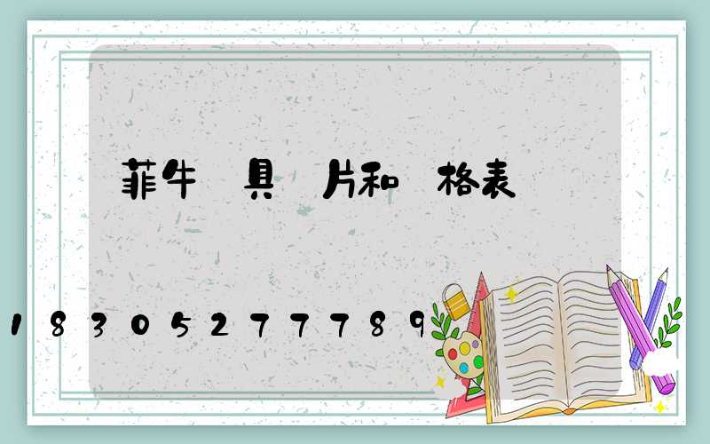 菲牛燈具圖片和價格表