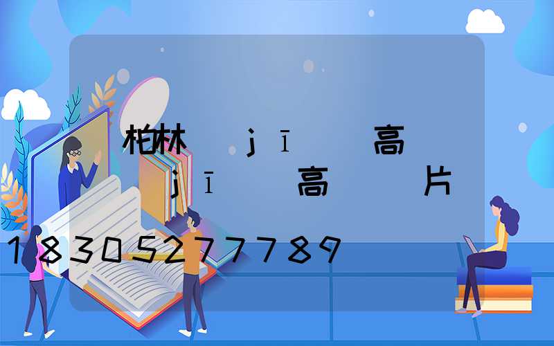 萬柏林機(jī)場高桿燈(機(jī)場高桿燈圖片)