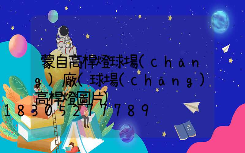 蒙自高桿燈球場(chǎng)廠(球場(chǎng)高桿燈圖片)