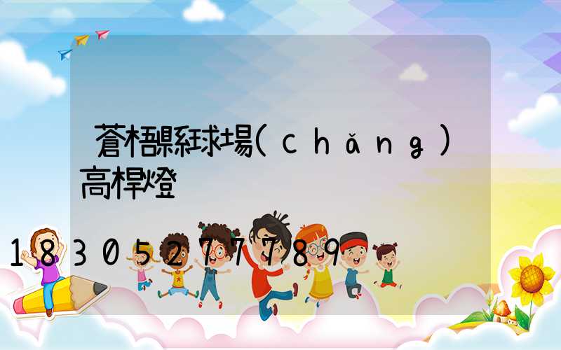 蒼梧縣球場(chǎng)高桿燈