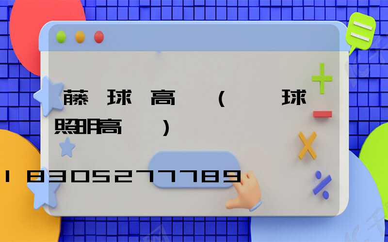藤縣球場高桿燈(廣場球場照明高桿燈)