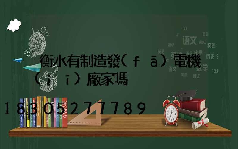 衡水有制造發(fā)電機(jī)廠家嗎