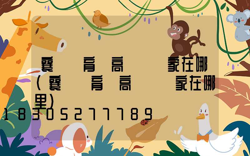 襄陽體育場高桿燈廠家在哪(襄陽體育場高桿燈廠家在哪里)