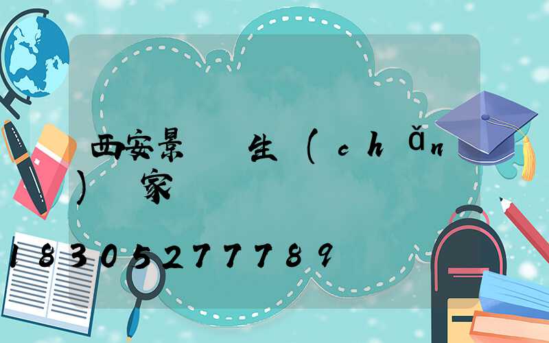 西安景觀燈生產(chǎn)廠家