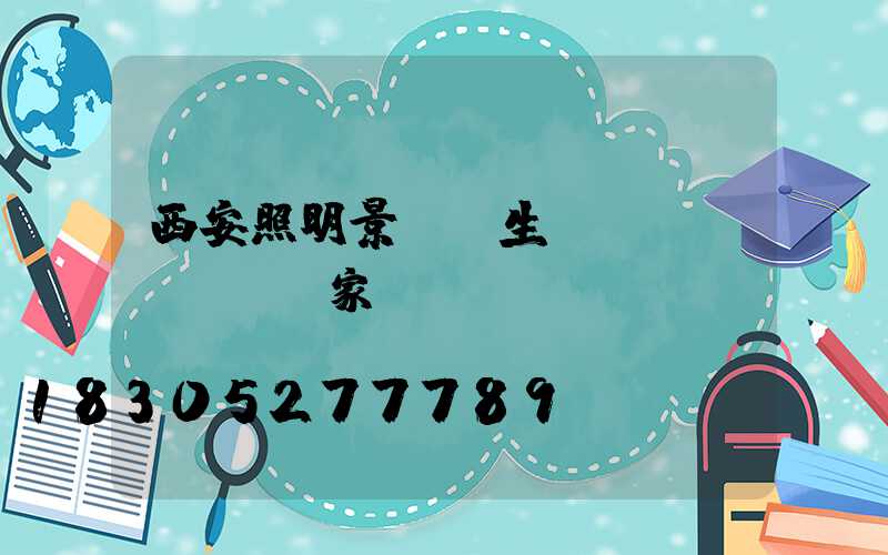 西安照明景觀燈生產(chǎn)廠家