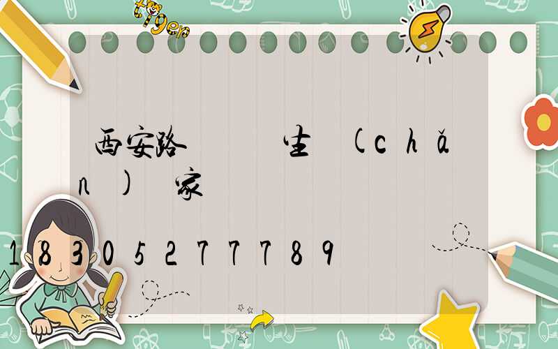 西安路燈燈籠生產(chǎn)廠家