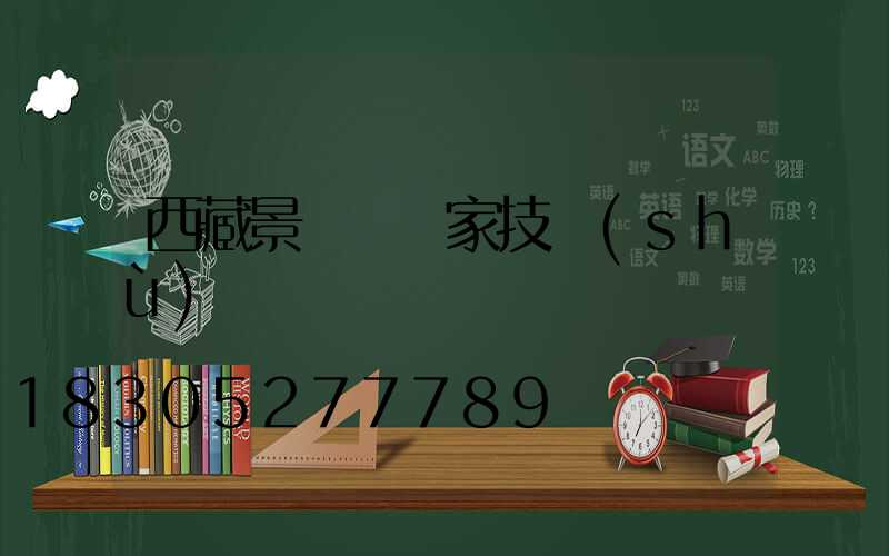 西藏景觀燈廠家技術(shù)