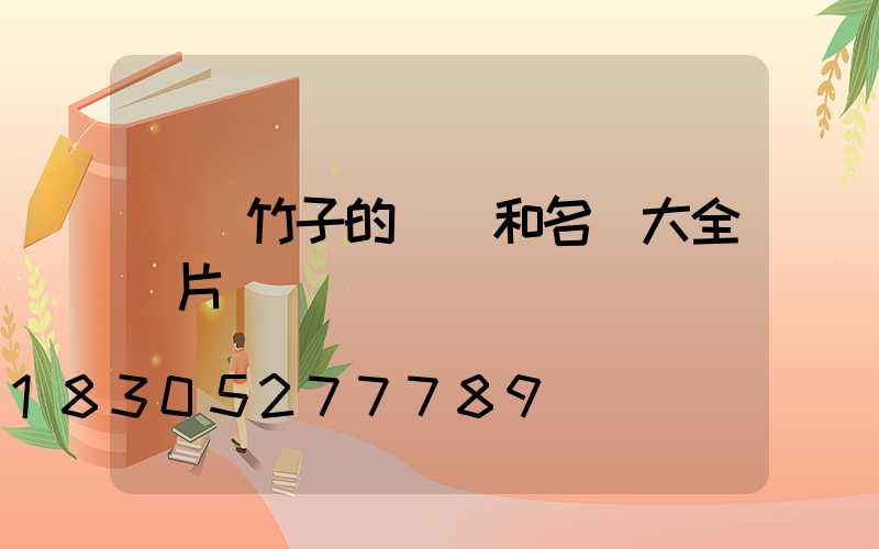 觀賞竹子的種類和名稱大全圖片