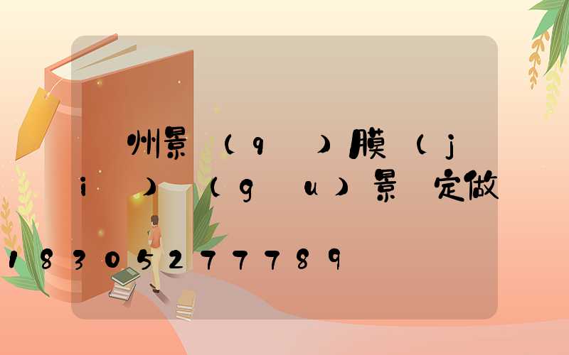 貴州景區(qū)膜結(jié)構(gòu)景觀定做