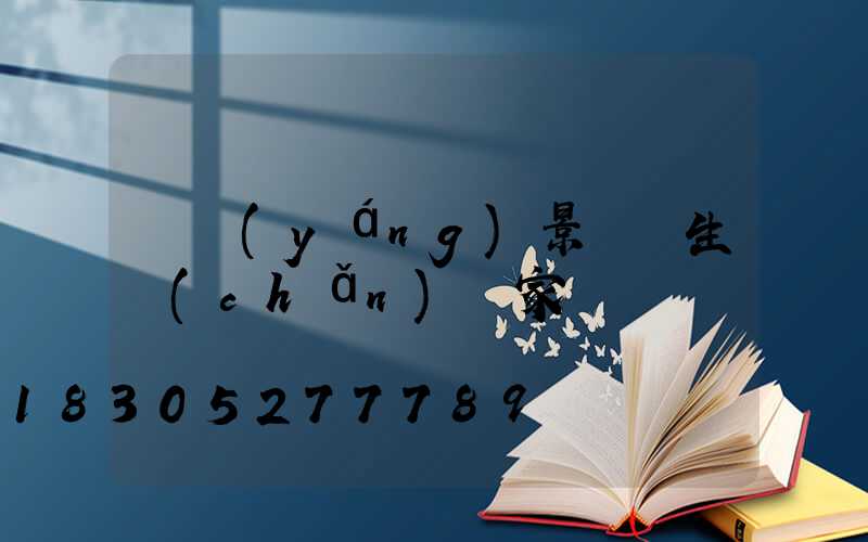 貴陽(yáng)景觀燈生產(chǎn)廠家