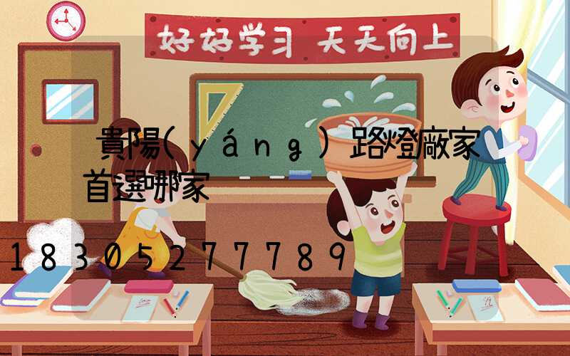 貴陽(yáng)路燈廠家首選哪家