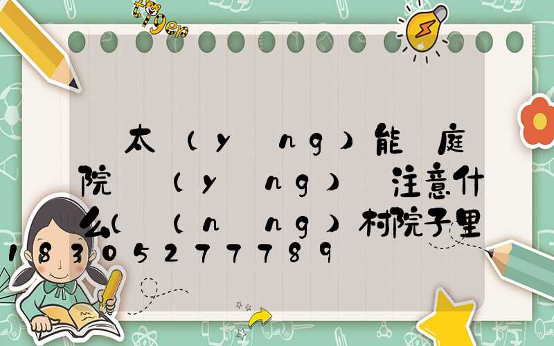 買太陽(yáng)能燈庭院燈應(yīng)該注意什么(農(nóng)村院子里最適合的太陽(yáng)能燈)