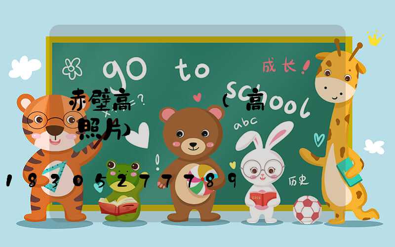 赤壁高桿燈燈頭(高桿燈燈頭照片)