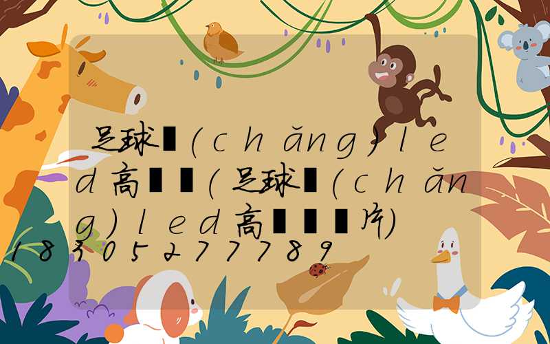足球場(chǎng)led高桿燈(足球場(chǎng)led高桿燈圖片)