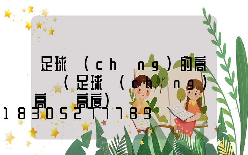 足球場(chǎng)的高桿燈(足球場(chǎng)高桿燈高度)