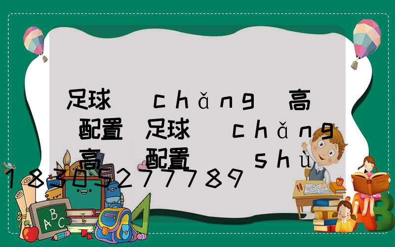 足球場(chǎng)高桿燈配置(足球場(chǎng)高桿燈配置參數(shù))