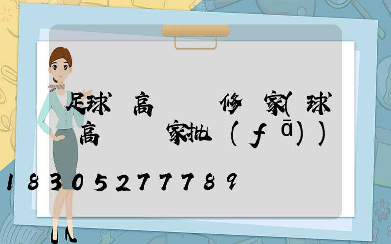 足球場高桿燈維修廠家(球場高桿燈廠家批發(fā))