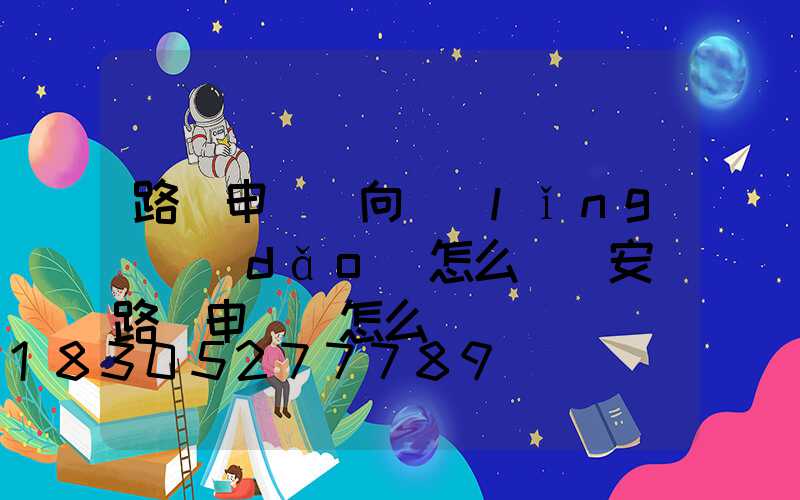 路燈申請書向領(lǐng)導(dǎo)怎么寫(安裝路燈申請書怎么寫)