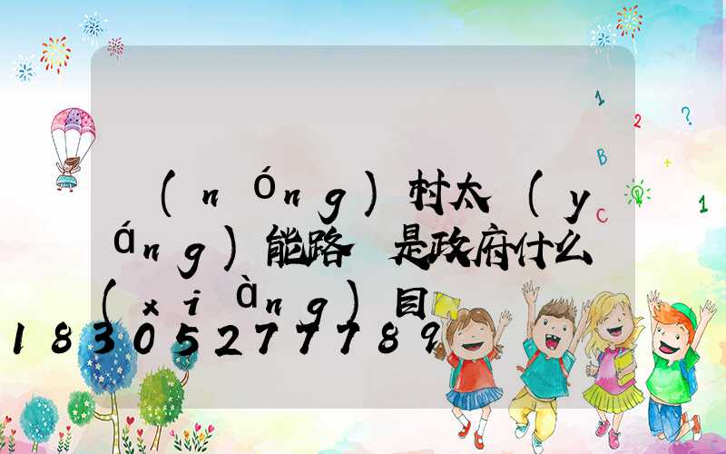 農(nóng)村太陽(yáng)能路燈是政府什么項(xiàng)目
