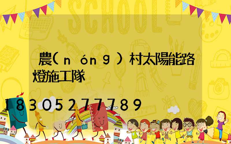 農(nóng)村太陽能路燈施工隊