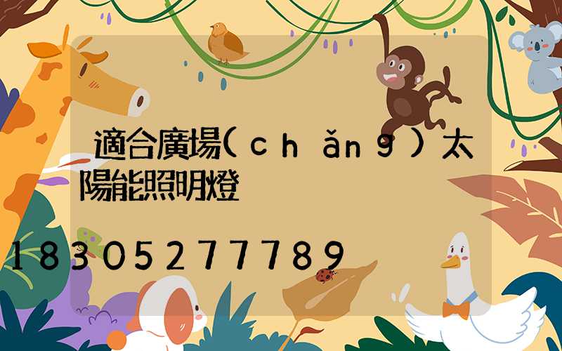 適合廣場(chǎng)太陽能照明燈