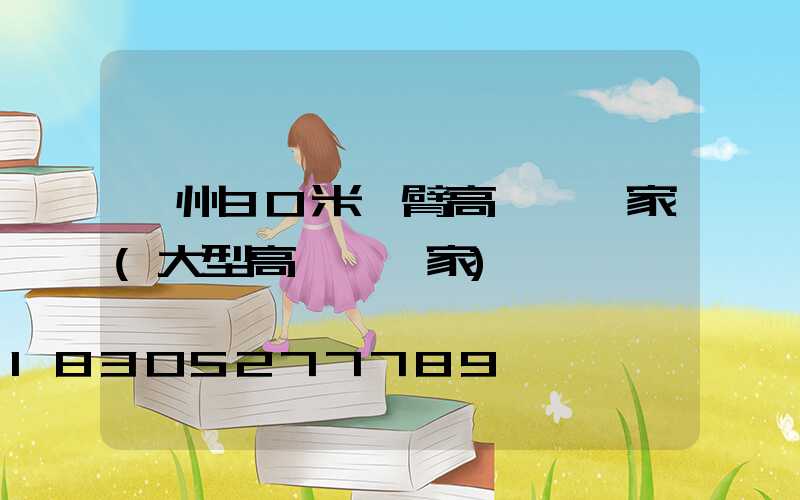鄭州30米雙臂高桿燈廠家(大型高桿燈廠家)