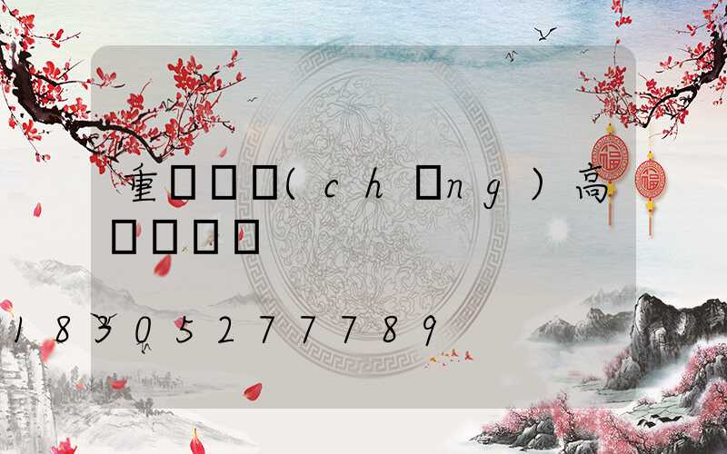 重慶廣場(chǎng)高桿燈碼頭