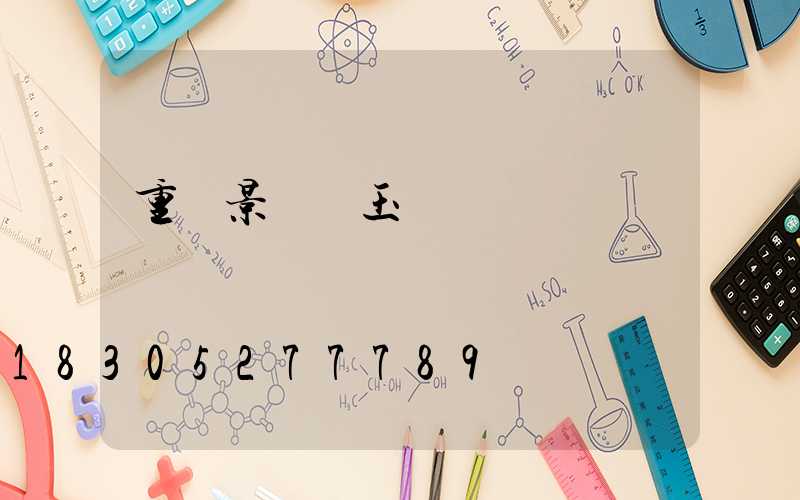 重慶景觀燈玉蘭燈