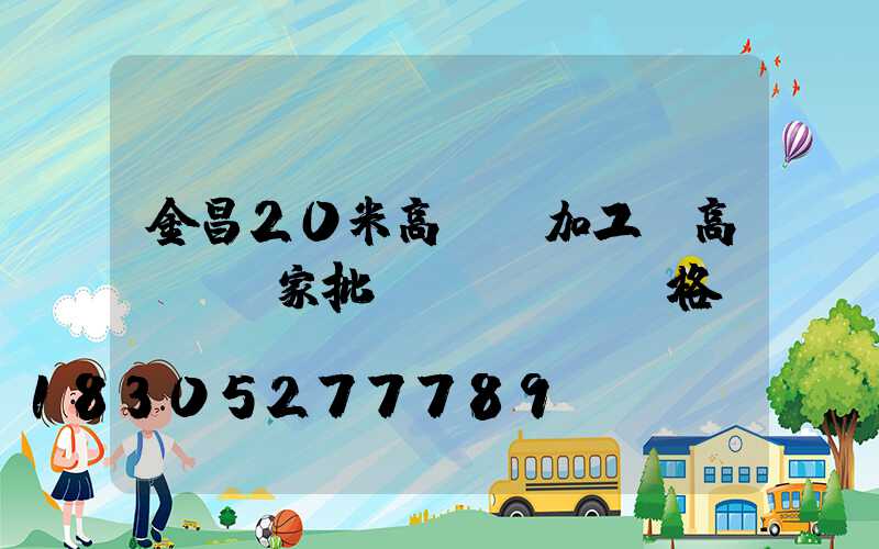 金昌20米高桿燈加工(高桿燈廠家批發(fā)價格)
