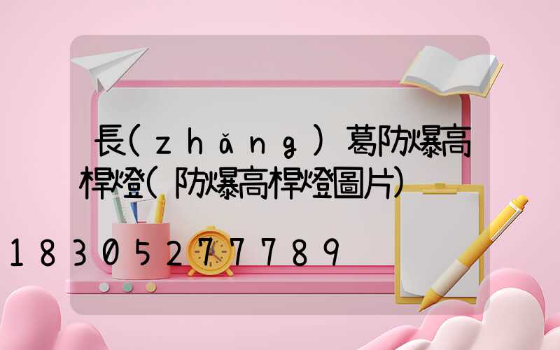 長(zhǎng)葛防爆高桿燈(防爆高桿燈圖片)