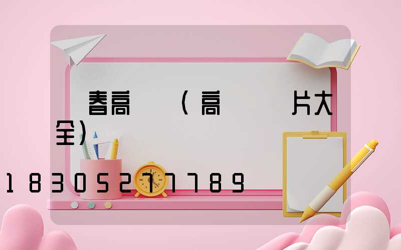 長春高桿燈(高桿燈圖片大全)