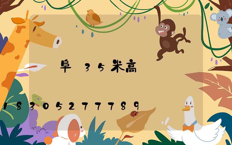 阜陽35米高桿燈