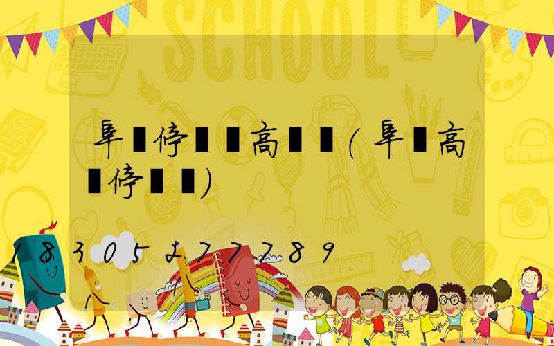 阜陽停車場高桿燈(阜陽高鐵停車場)