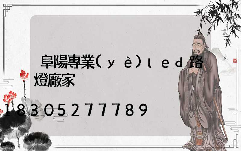 阜陽專業(yè)led路燈廠家