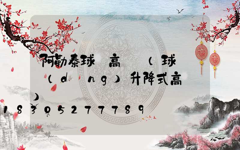 阿勒泰球場高桿燈(球場電動(dòng)升降式高桿燈)