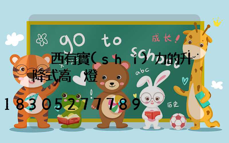 陜西有實(shí)力的升降式高桿燈