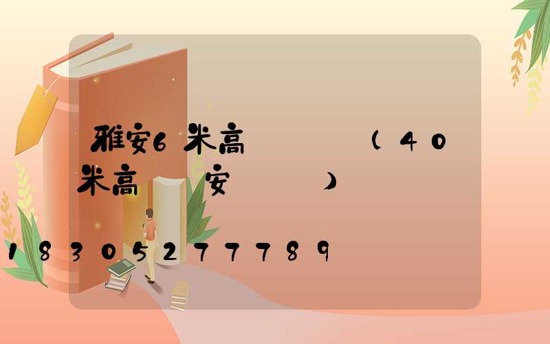 雅安6米高桿燈價錢(40米高桿燈安裝視頻)