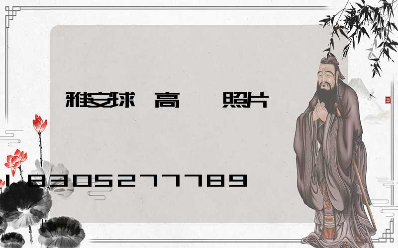 雅安球場高桿燈照片